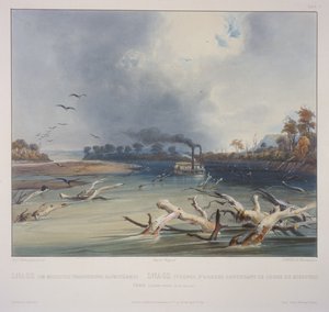 Snags (Sunken Trees) på Missouri af Karl Bodmer